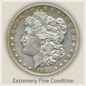 Extra fine 1885 Morgan silver dollar