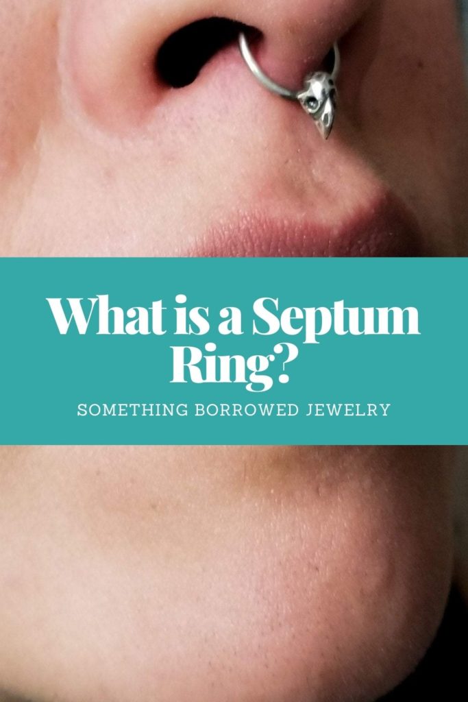 What is a Septum Ring 1