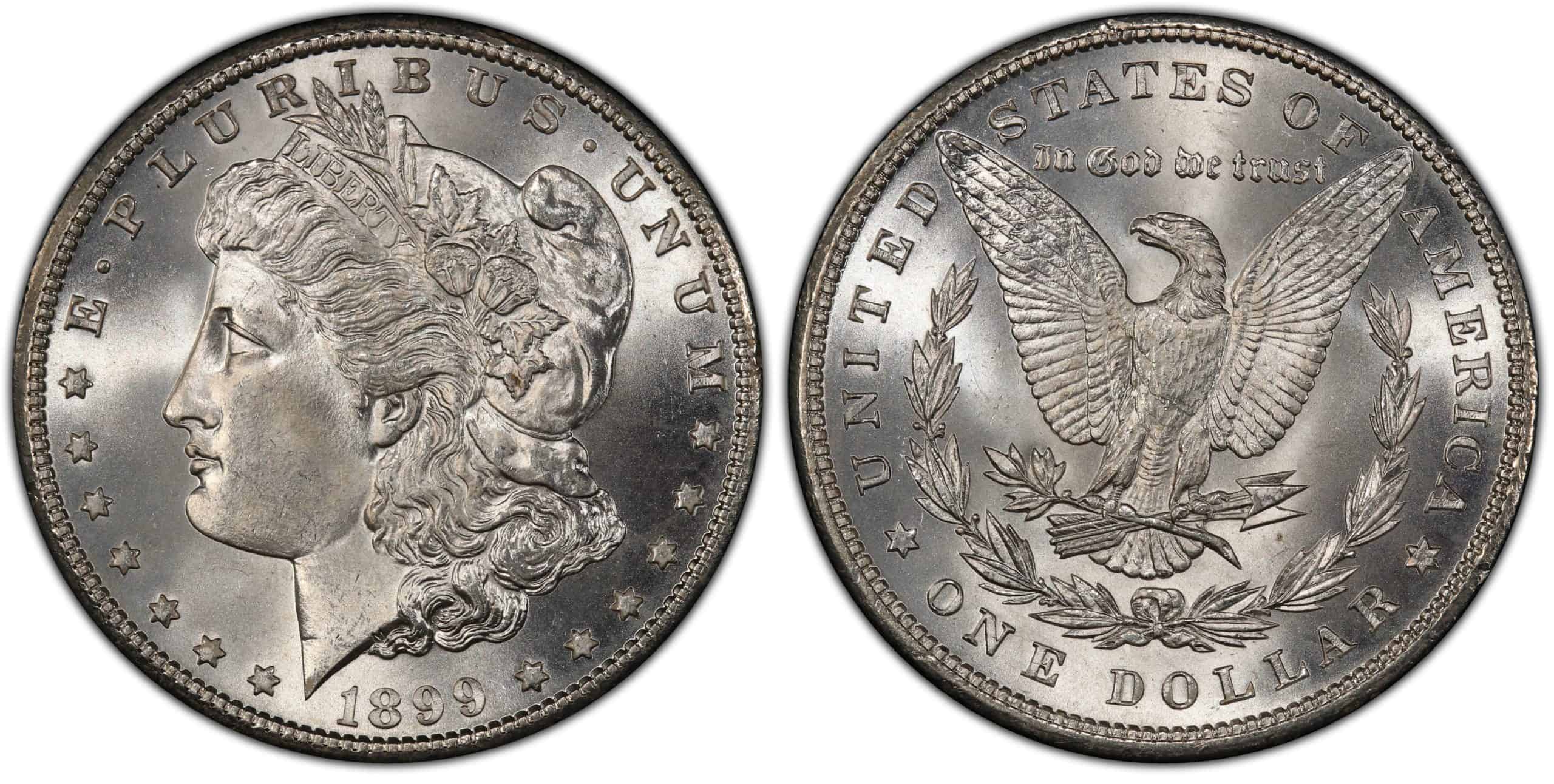 1899 Morgan Silver Dollar Grading