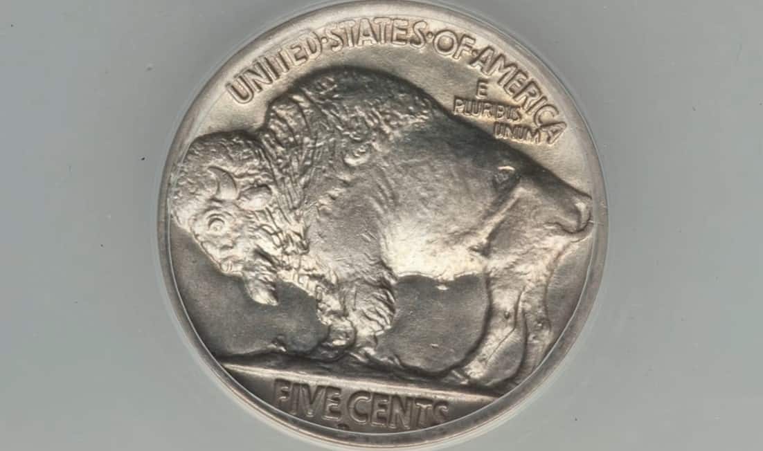 1928 Buffalo Nickel FAQs