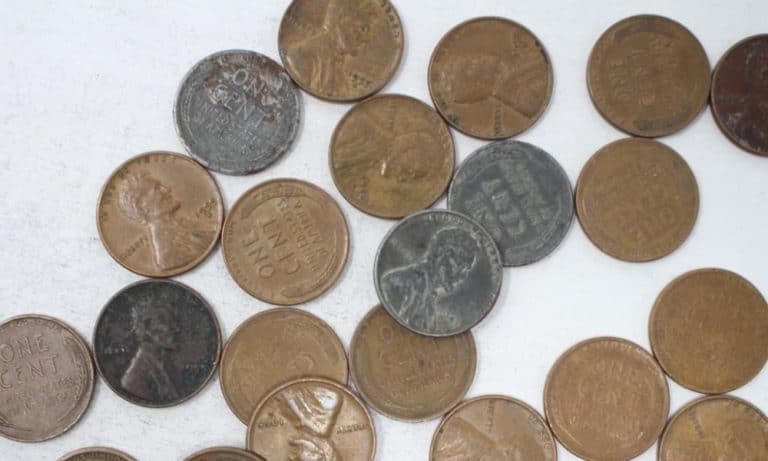 How Much is a 1955 Wheat Penny Worth? (Price Chart)