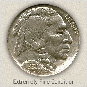 Extra fine Buffalo nickel