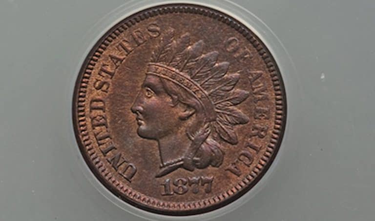 How Much is a 1877 Indian Head Penny Worth? (Price Chart)