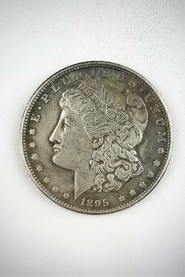 1895 Morgan Silver Dollar Variations