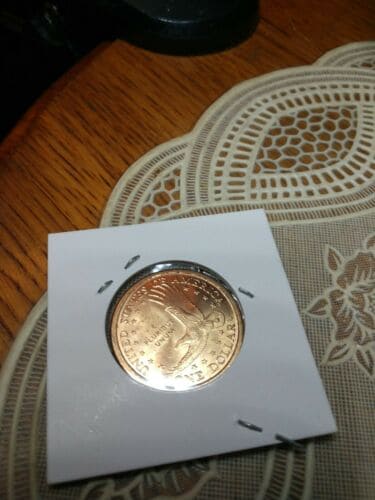 2000 p Sacagawea dollar coin. Truly a Unique find!