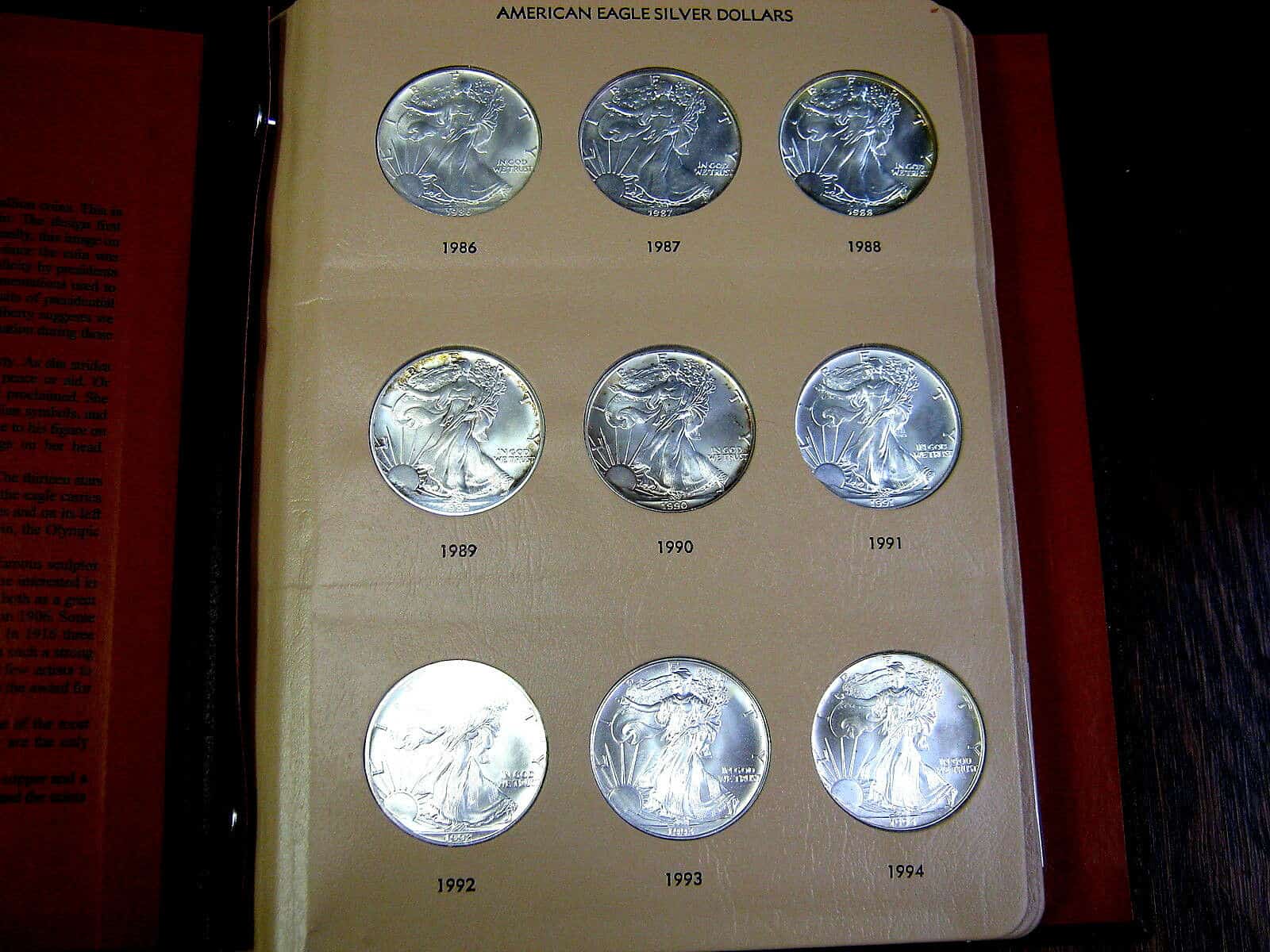 Complete Set Silver American Eagle S (36 Coins) In Dansco